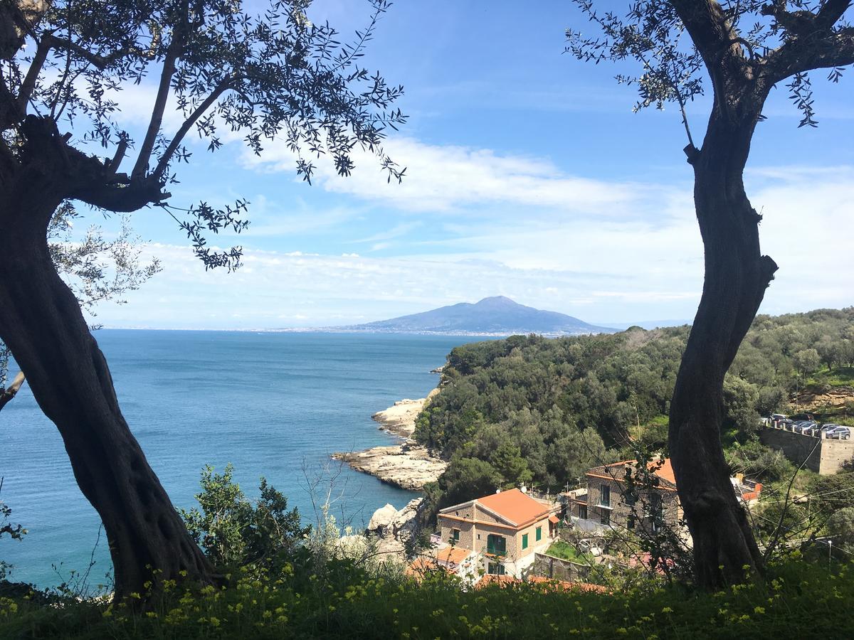 Сasa de vacaciones Maison Del Mare Sorrento. *